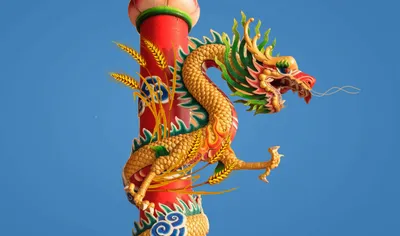 Как Китай защищает свой рынок от казахстанского зерна