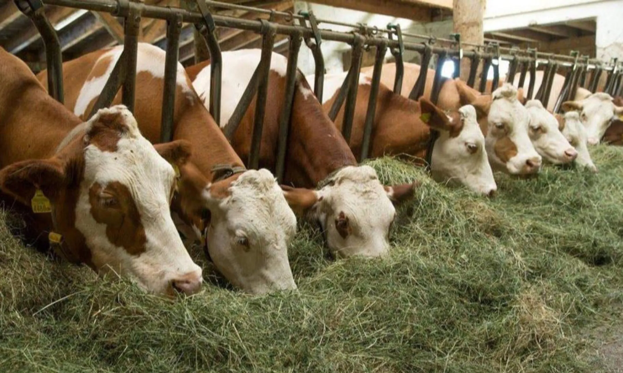 Изображение Kapital.kz