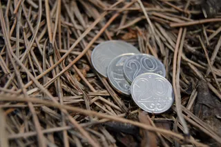 Фото: Валерия Змейкова