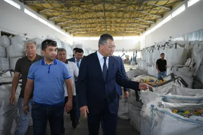 В Туркестанской области будут производить искусственное волокно