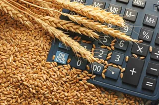 Капитал - Для сельхозкооперативов действуют льготы по налогам