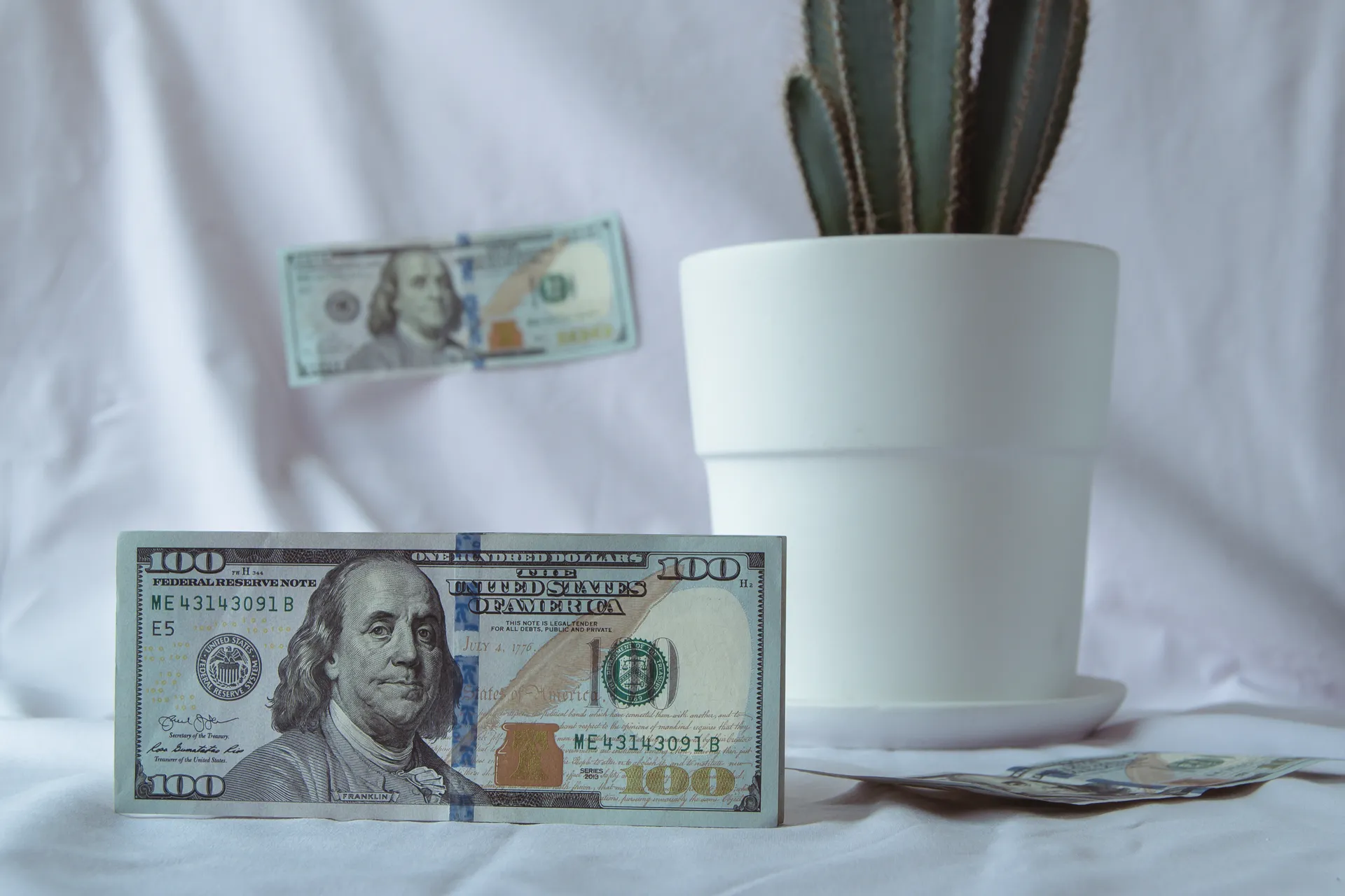 Фото: Валерия Змейкова