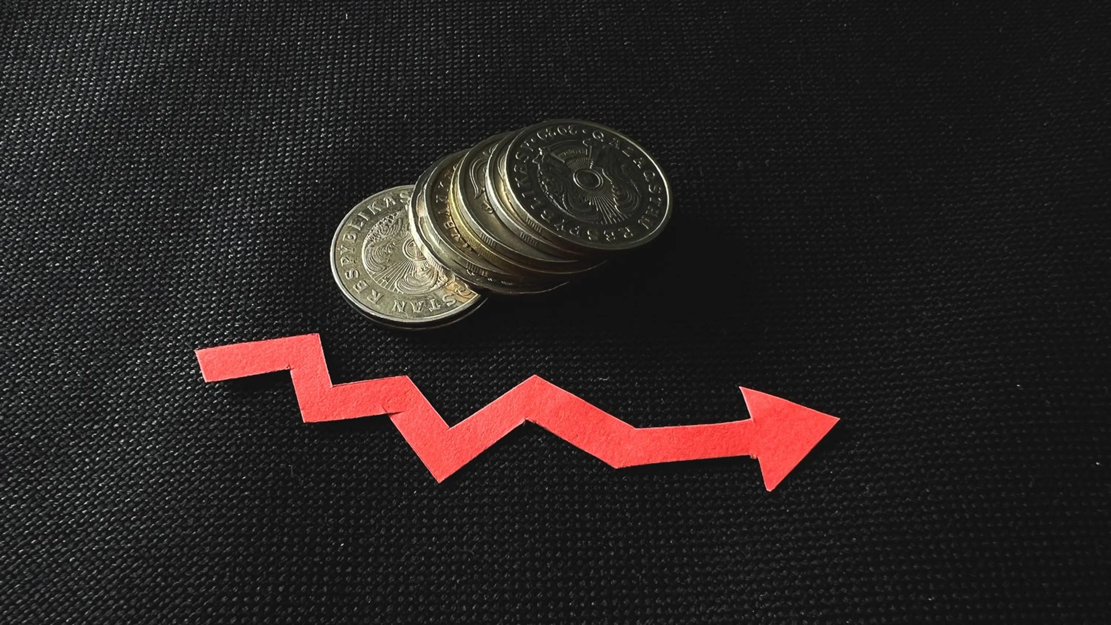 Фото: Валерия Змейкова