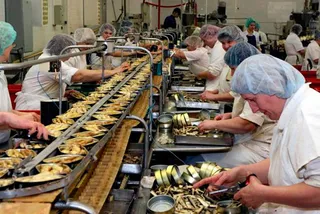 Капитал - В ЕС предъявили претензии к латвийским шпротам