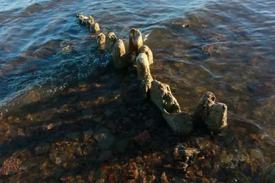 Фото: Руслан Пряников