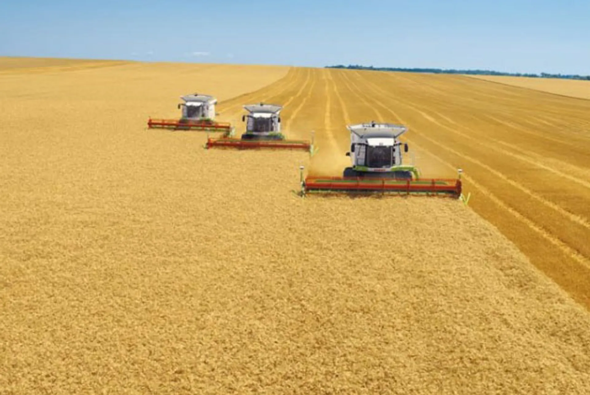 Капитал - Сельское хозяйство поддержало товарное производство