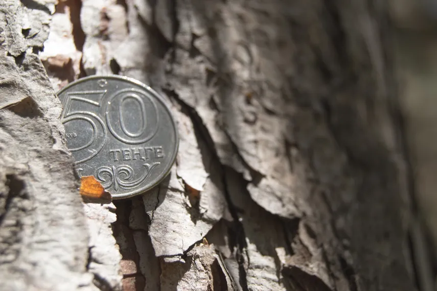 Капитал - Тенге завершил неделю в минусе