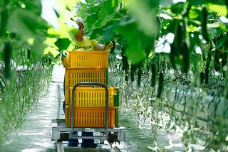 Капитал - В КазАгро введут KPI-технологии