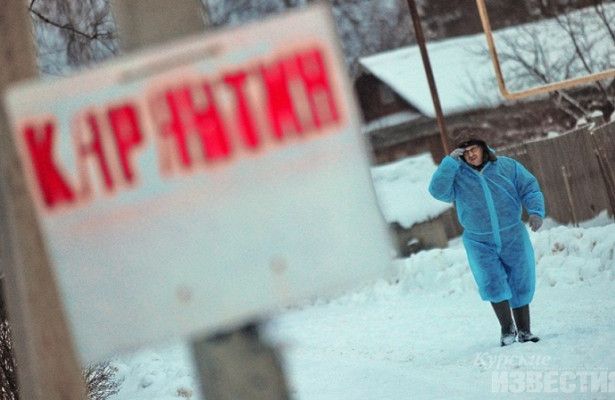 Казахстан временно запретил ввоз мяса из Приморского края- Kapital.kz