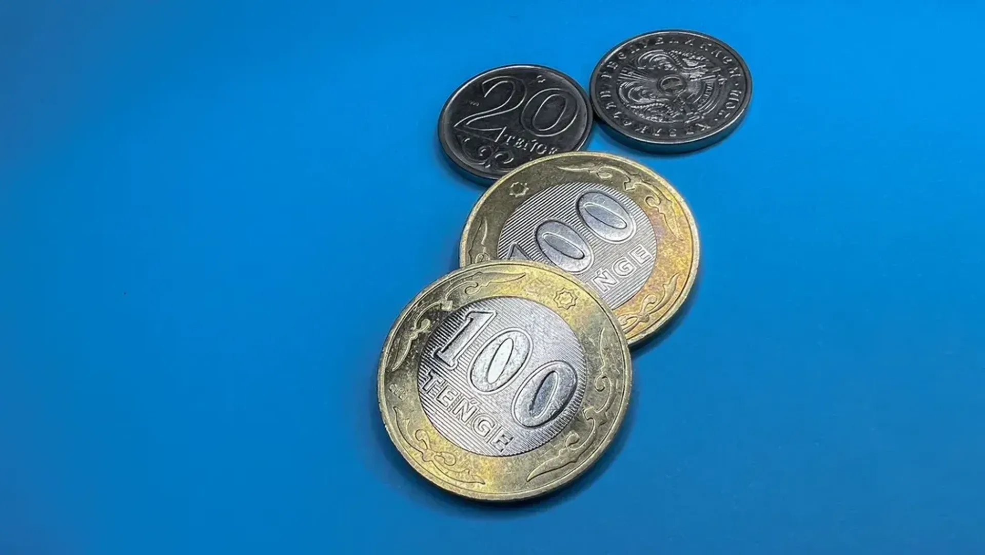 Фото: Валерия Змейкова