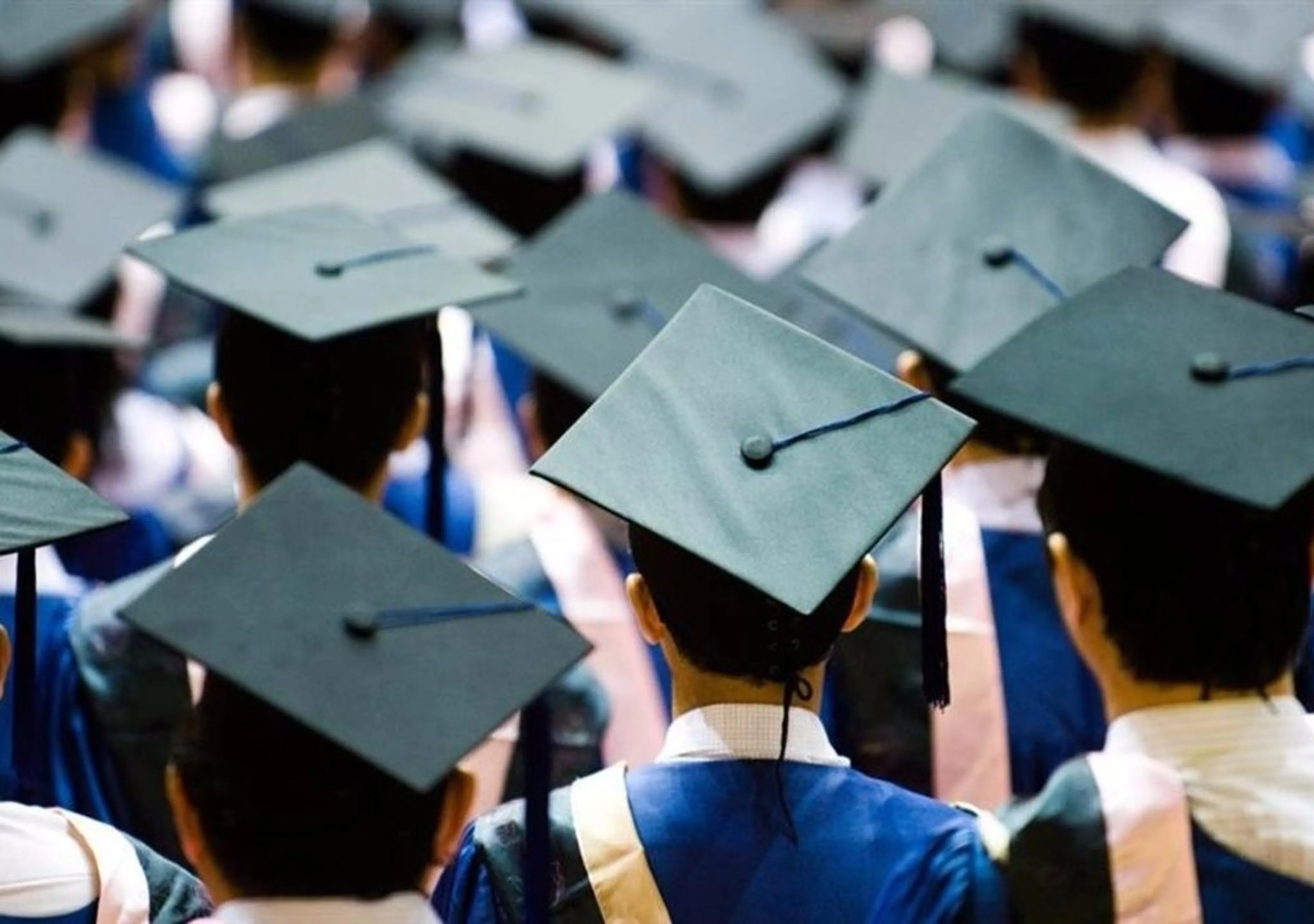 Капитал - Вузам дадут право на разработку образовательных программ