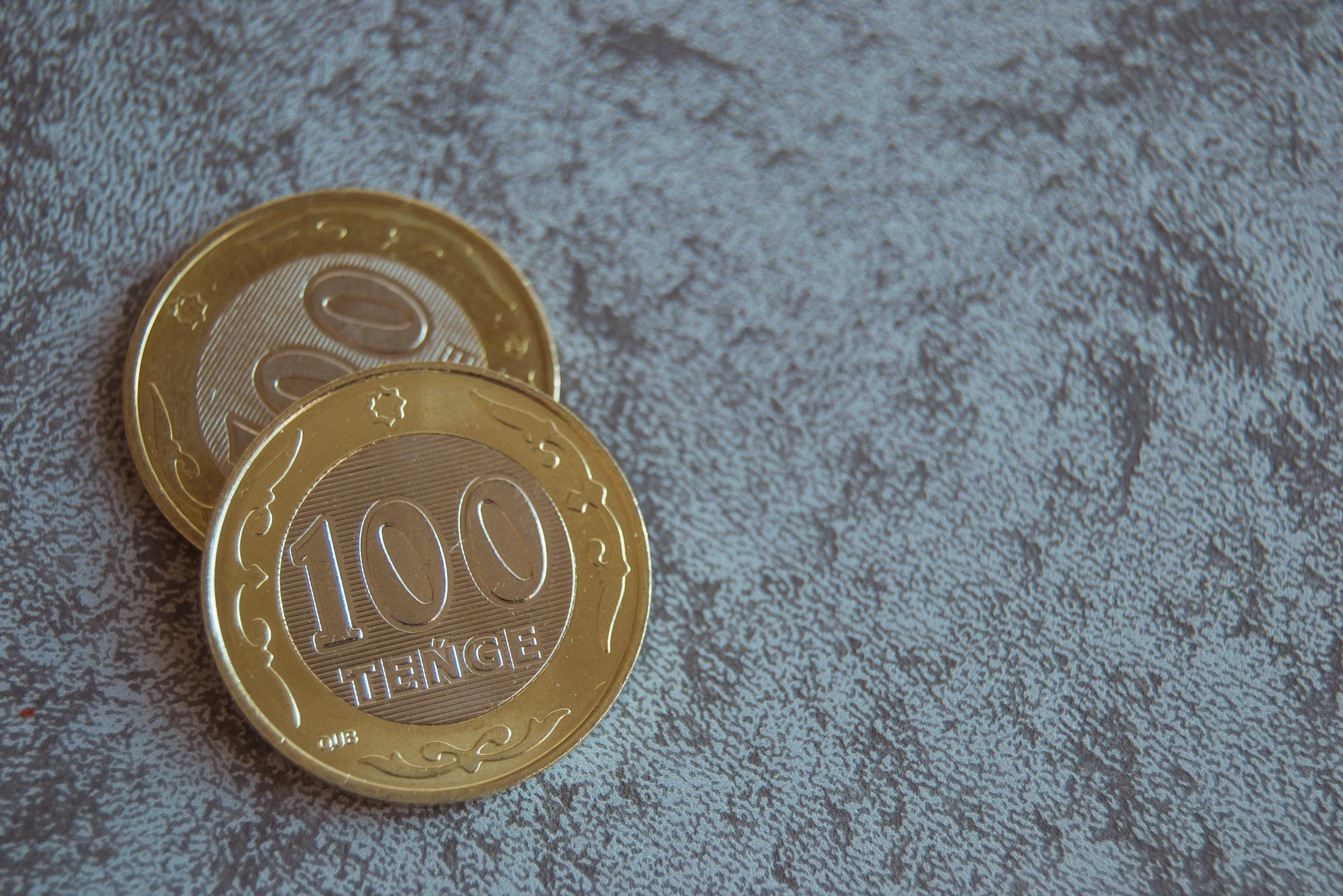 Фото: Валерия Змейкова