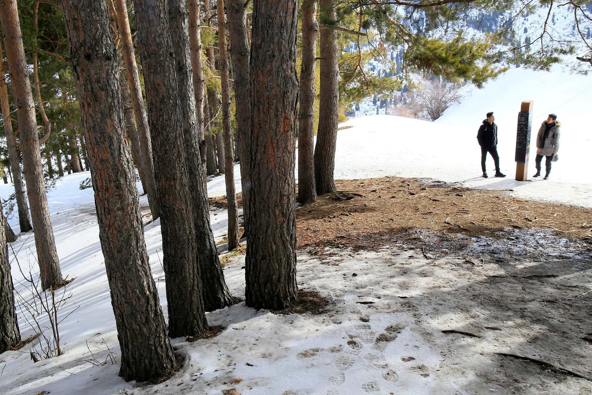 Фото: Руслан Пряников