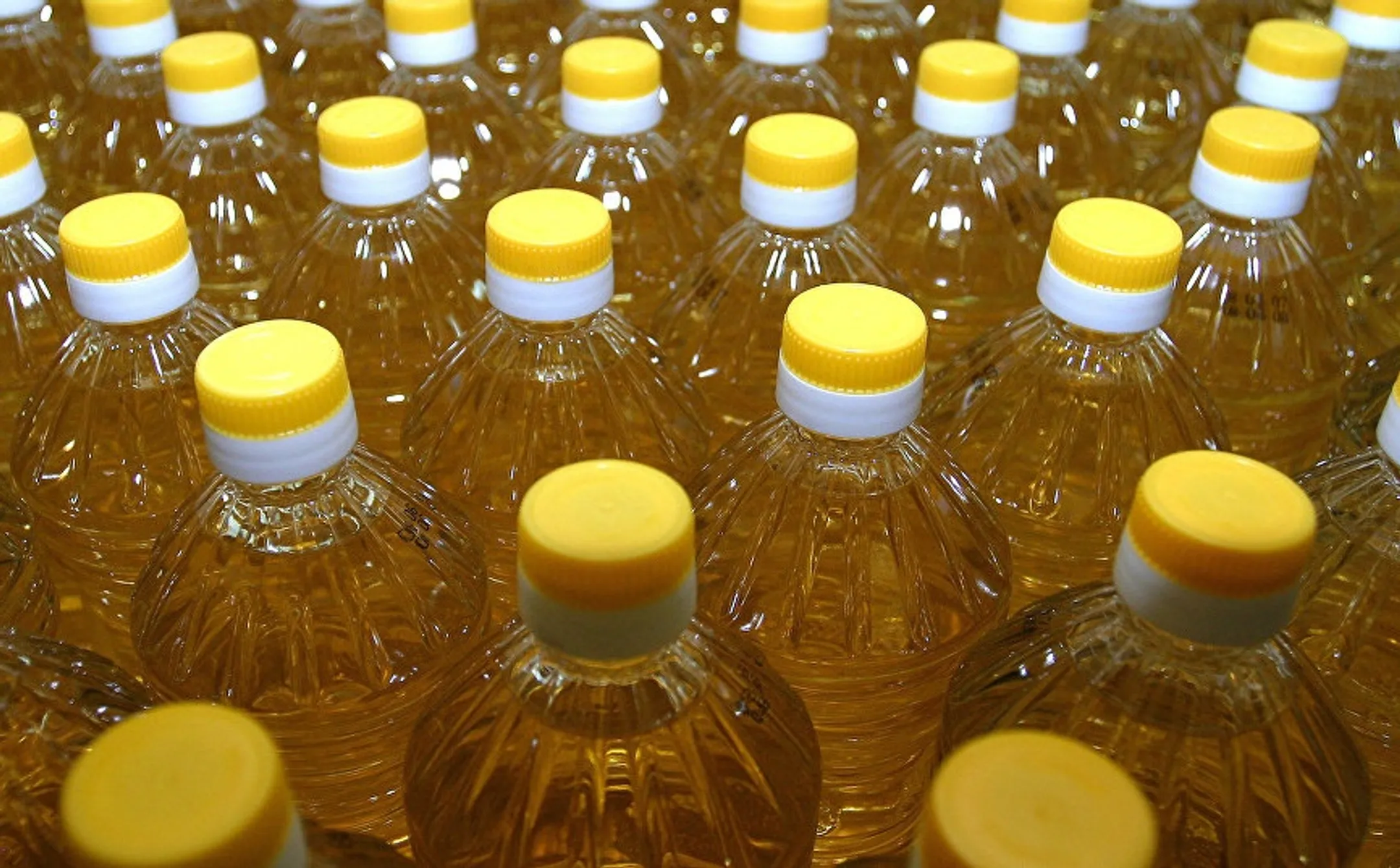 Казахстан обеспечит маслом китайскую провинцию - Image Kapital.kz