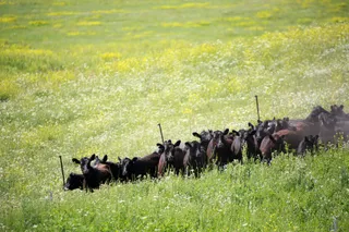 Фото Руслана Пряникова