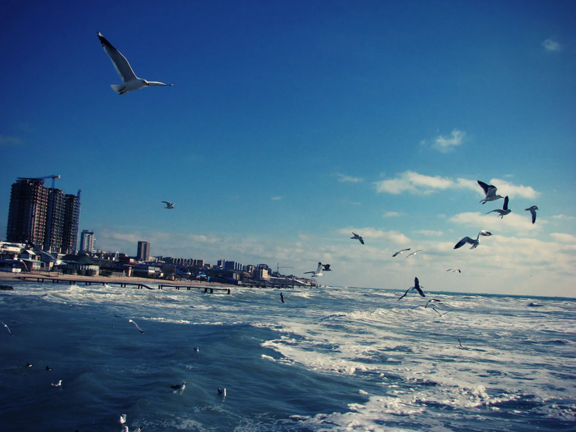 Капитал - Казахстан и Россия будут развивать круизный туризм