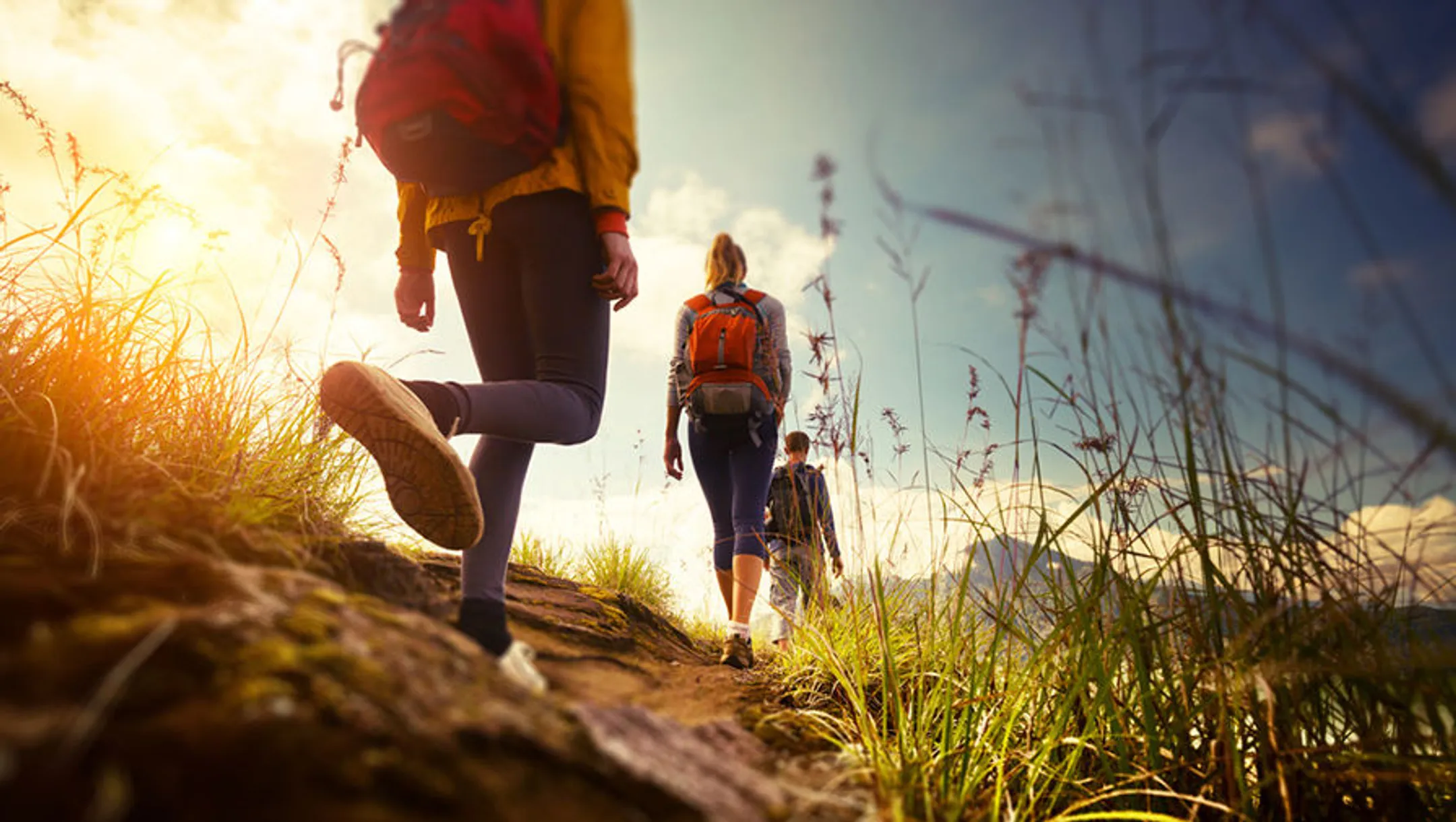 Благоустройство троп в горах Алматы обойдется в 15 млн тенге - Image Kapital.kz