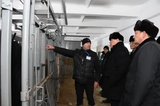 Капитал - В Алматинской области запустили животноводческий комплекс