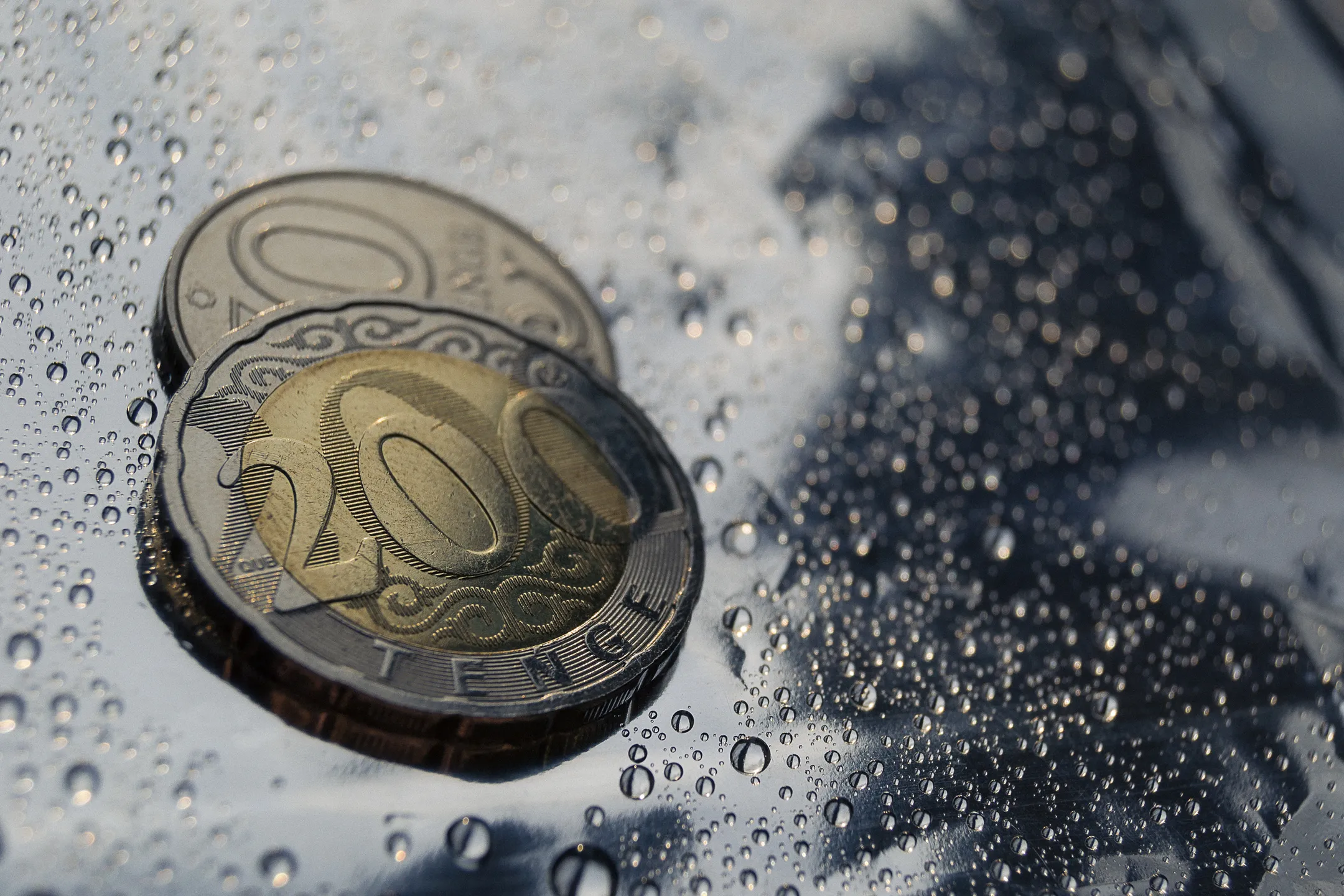 Фото: Валерия Змейкова