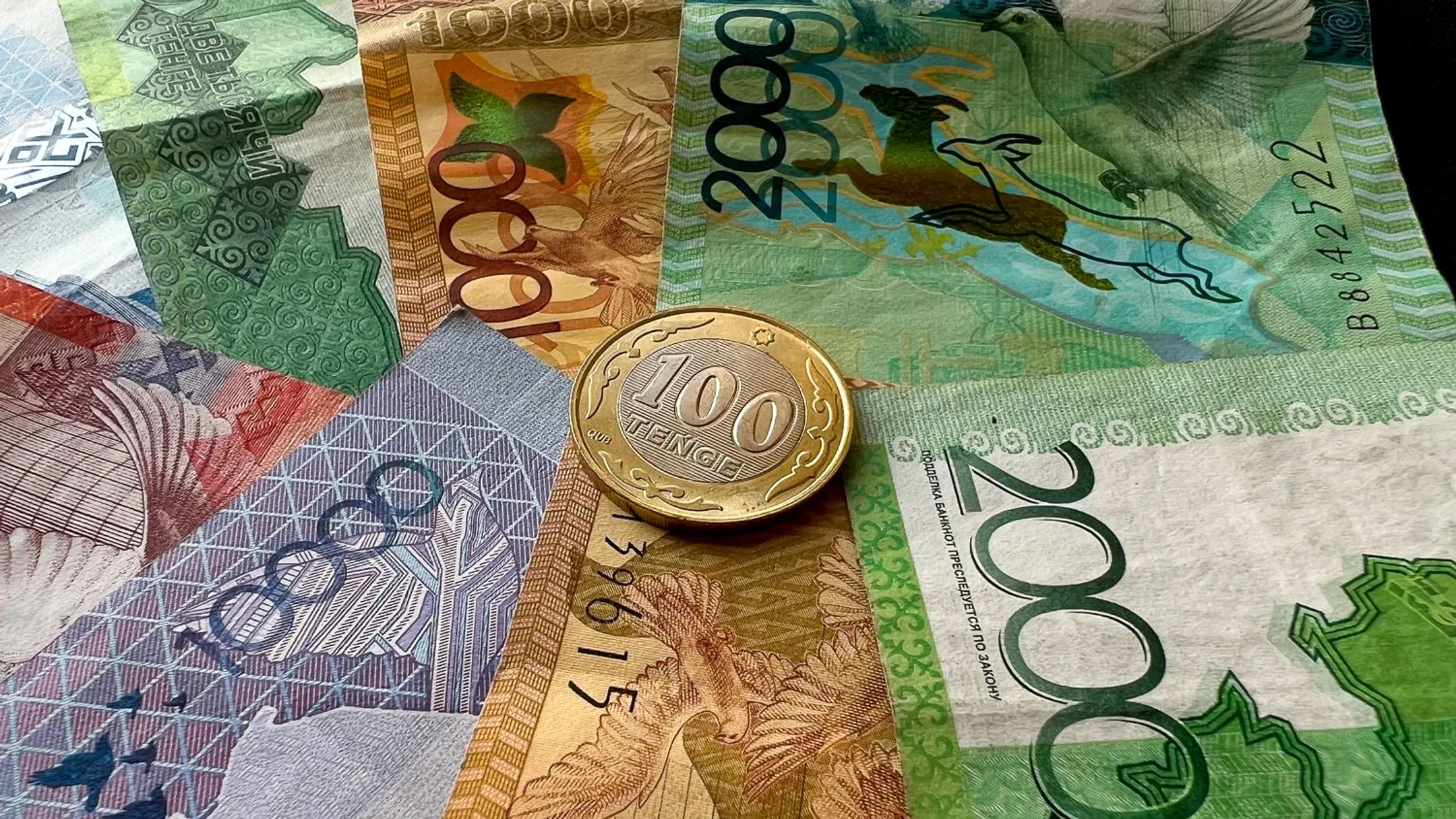 Фото: Валерия Змейкова