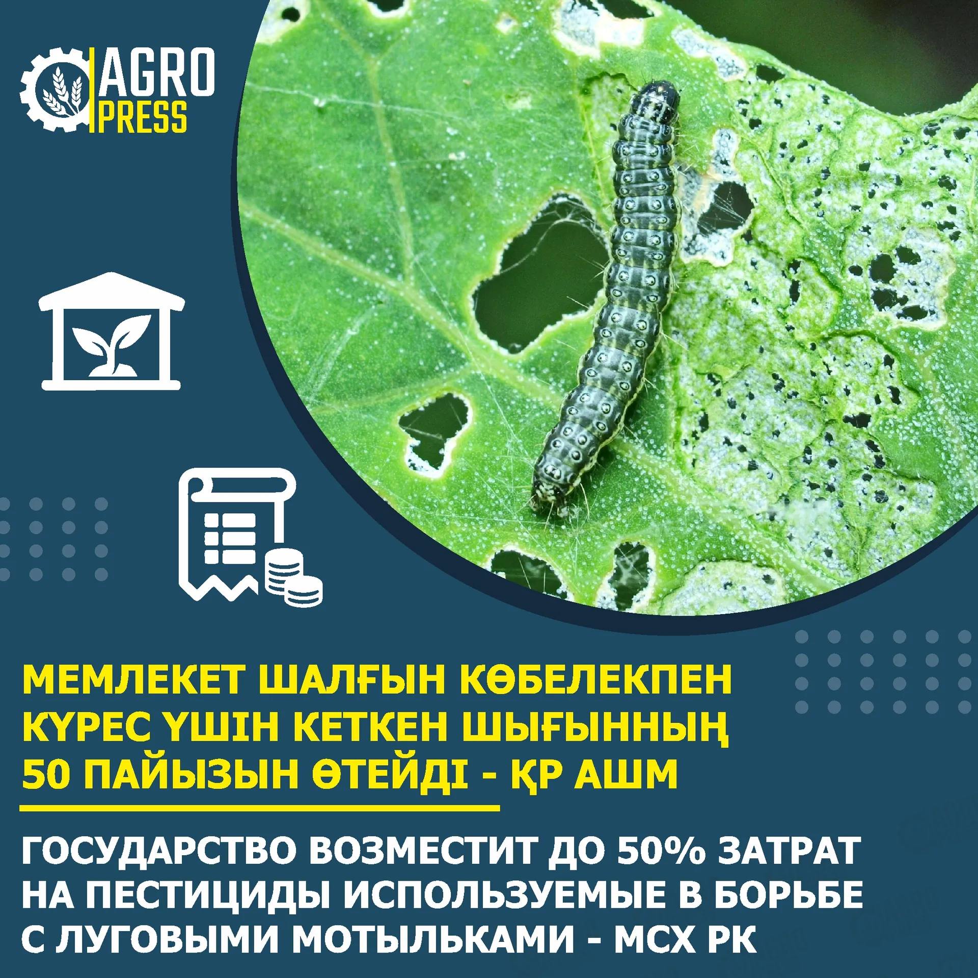 Капитал - Государство возместит до 50% затрат на пестициды – МСХ