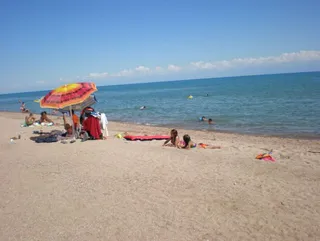 Капитал - Руководство птицефабрики решило строить базу отдыха