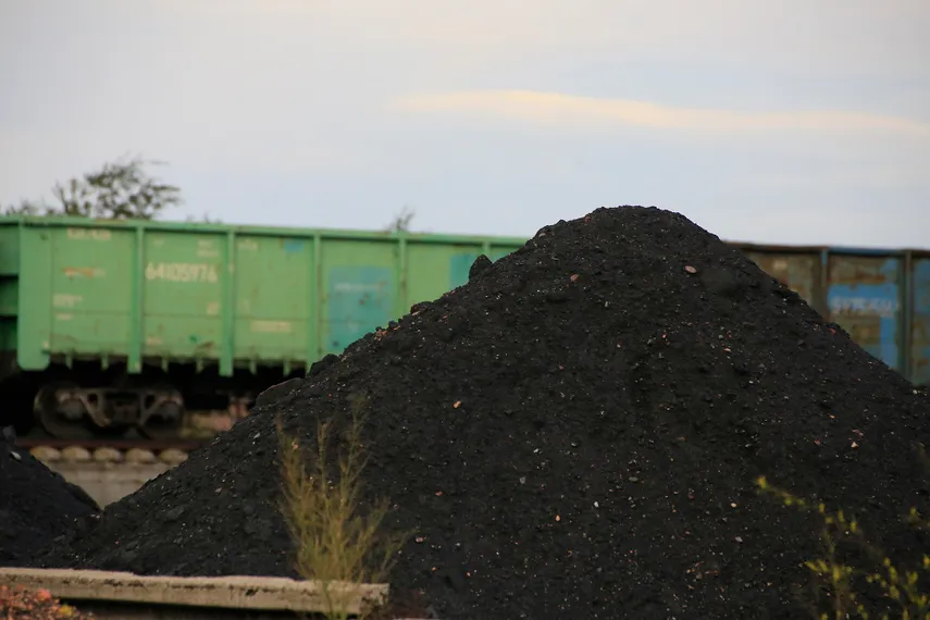 Фото: Руслан Пряников