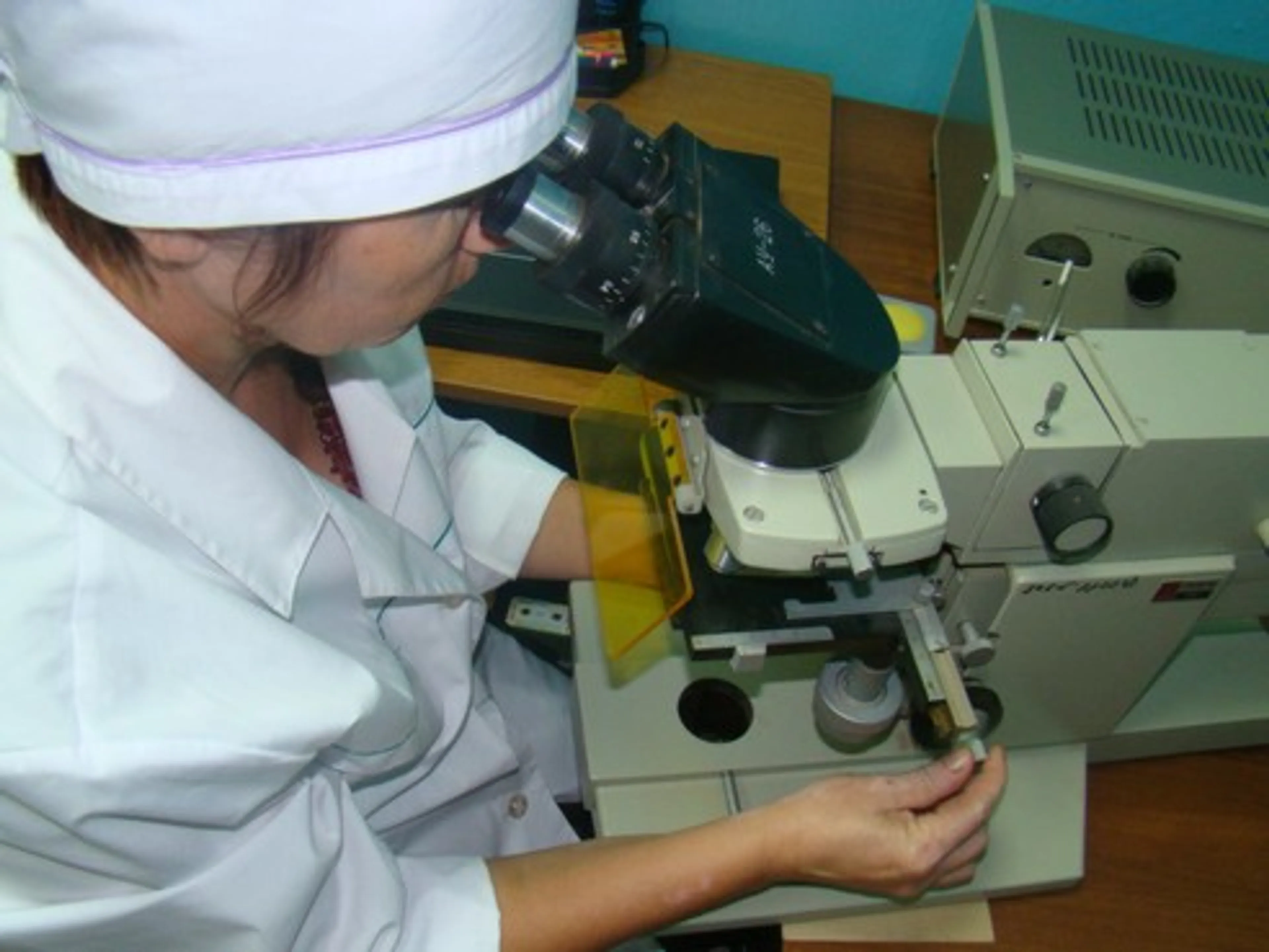 Капитал - Ветеринарные организации оштрафованы на 13 млн тенге