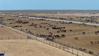 Фото: сайт министерства сельского хозяйства