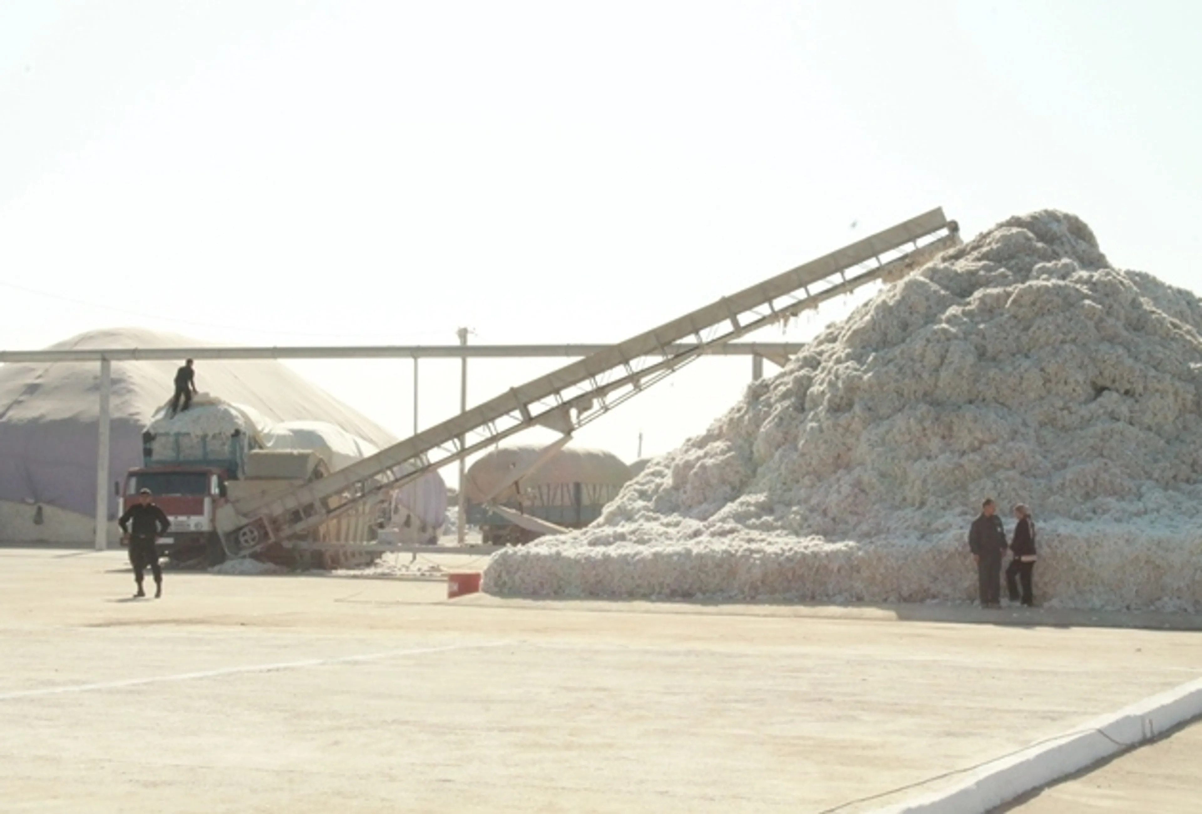 Капитал - Переработчикам хлопка развяжут руки