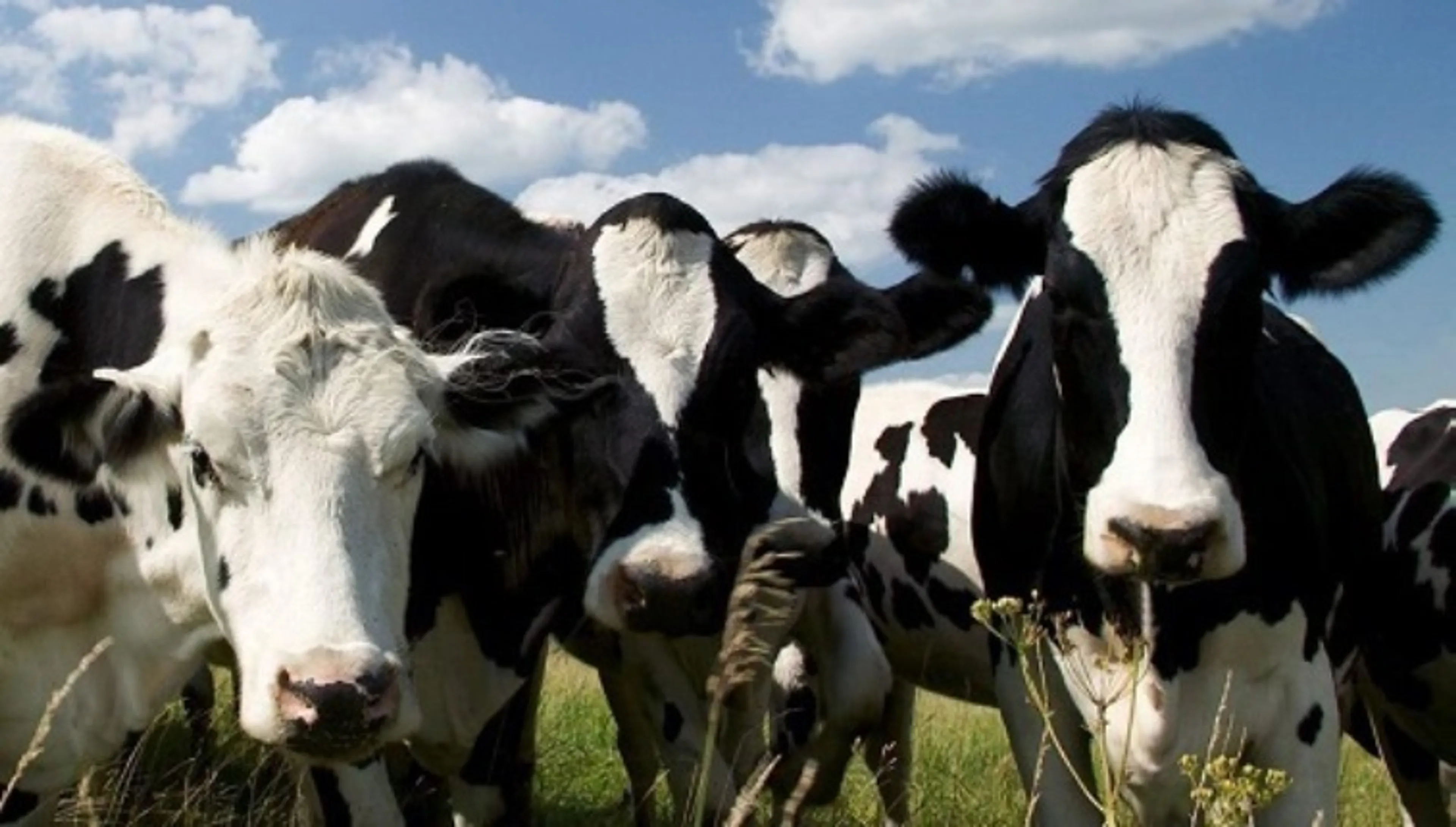 Капитал - Мамытбеков ответил на критику Назарбаева