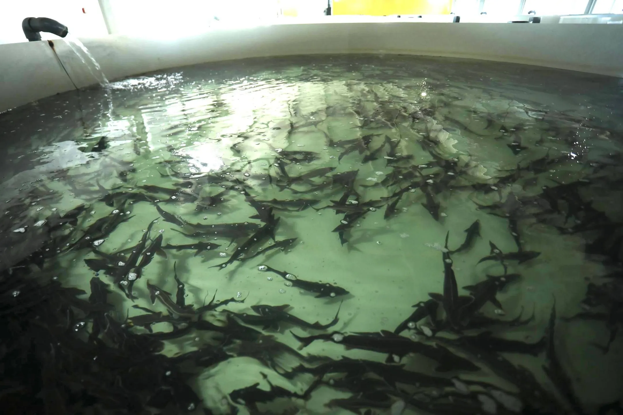 Изображение Kapital.kz