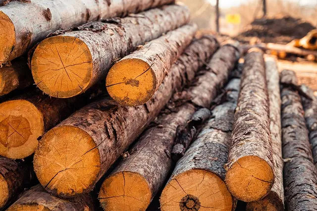 ecco-wood.eu