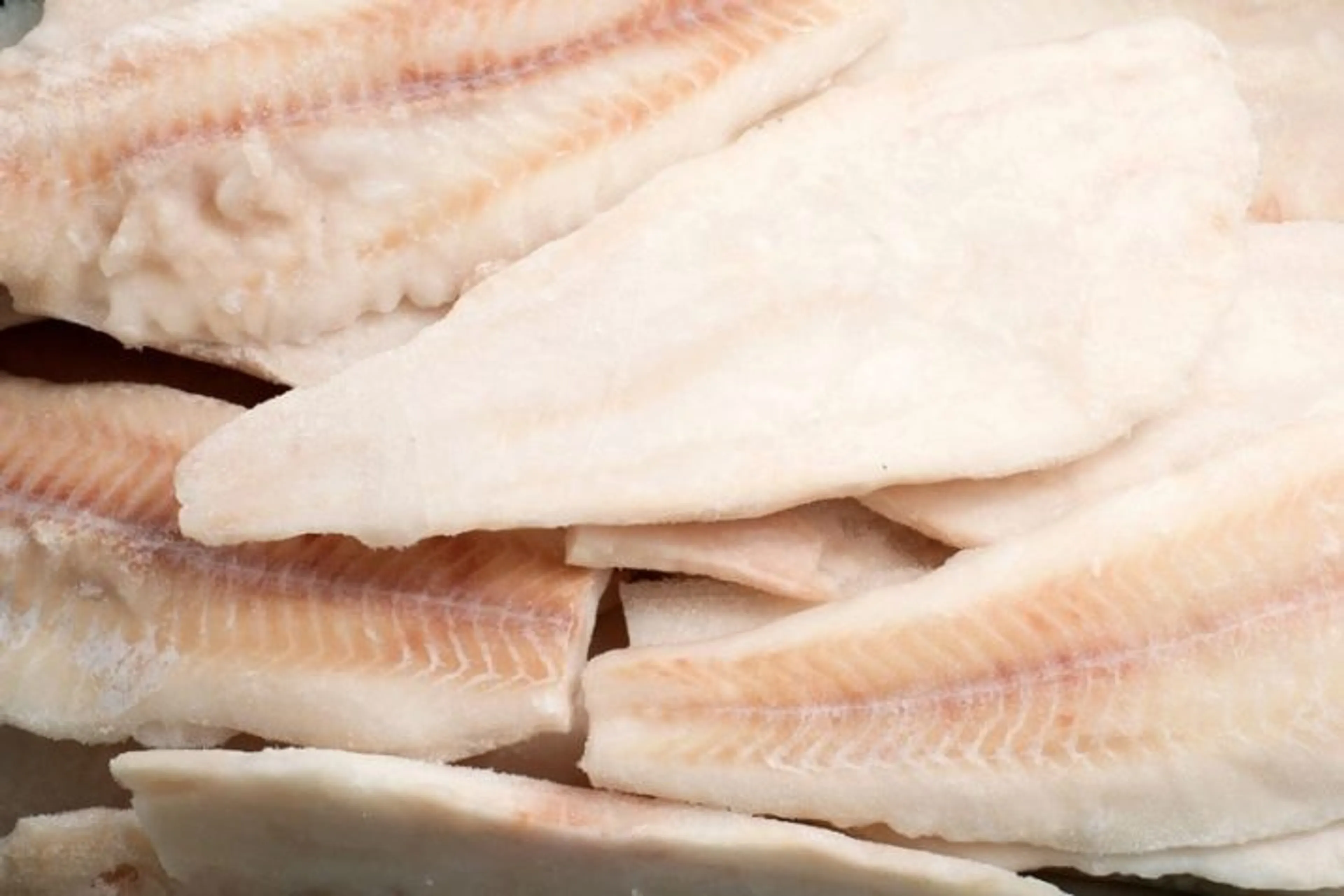 Капитал - КНР приостановила импорт морепродуктов компаний из России