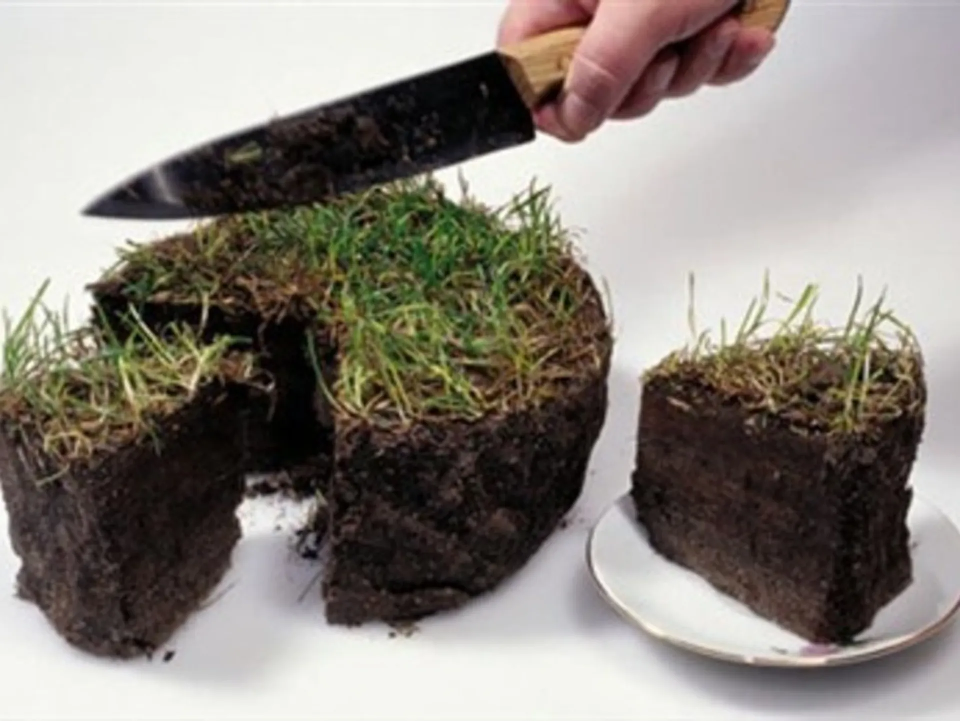 Капитал - Для арендного жилья недостаточно земли