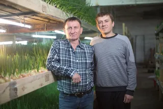 Капитал - Бизнес в тепличных условиях