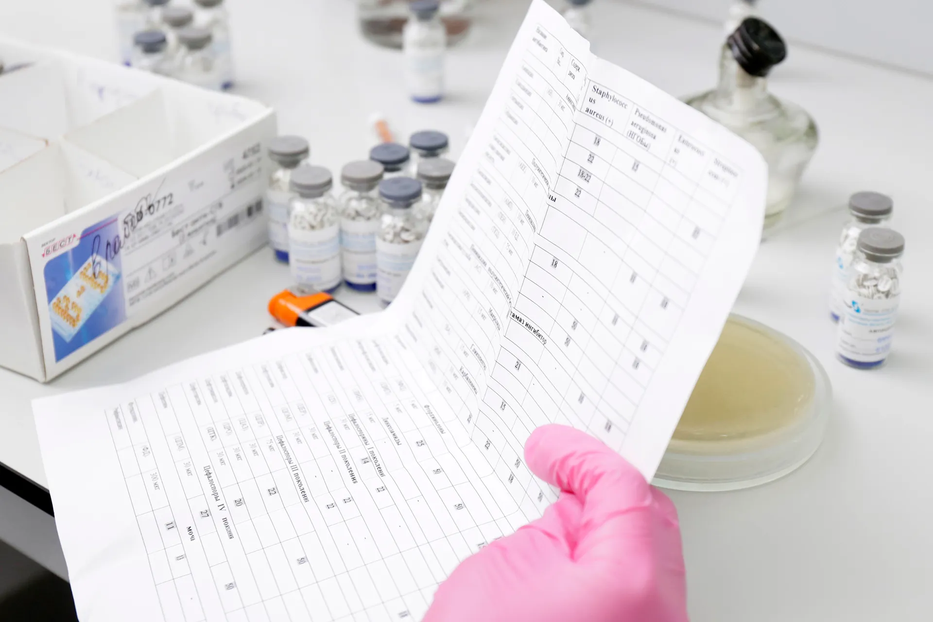 Фото: Руслан Пряников