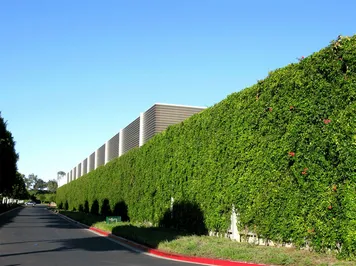 Заборы в Алматы будут озеленять, а не красить