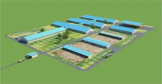 Капитал - В Южном Казахстане создан корпоративный фонд «Соз – Агро»