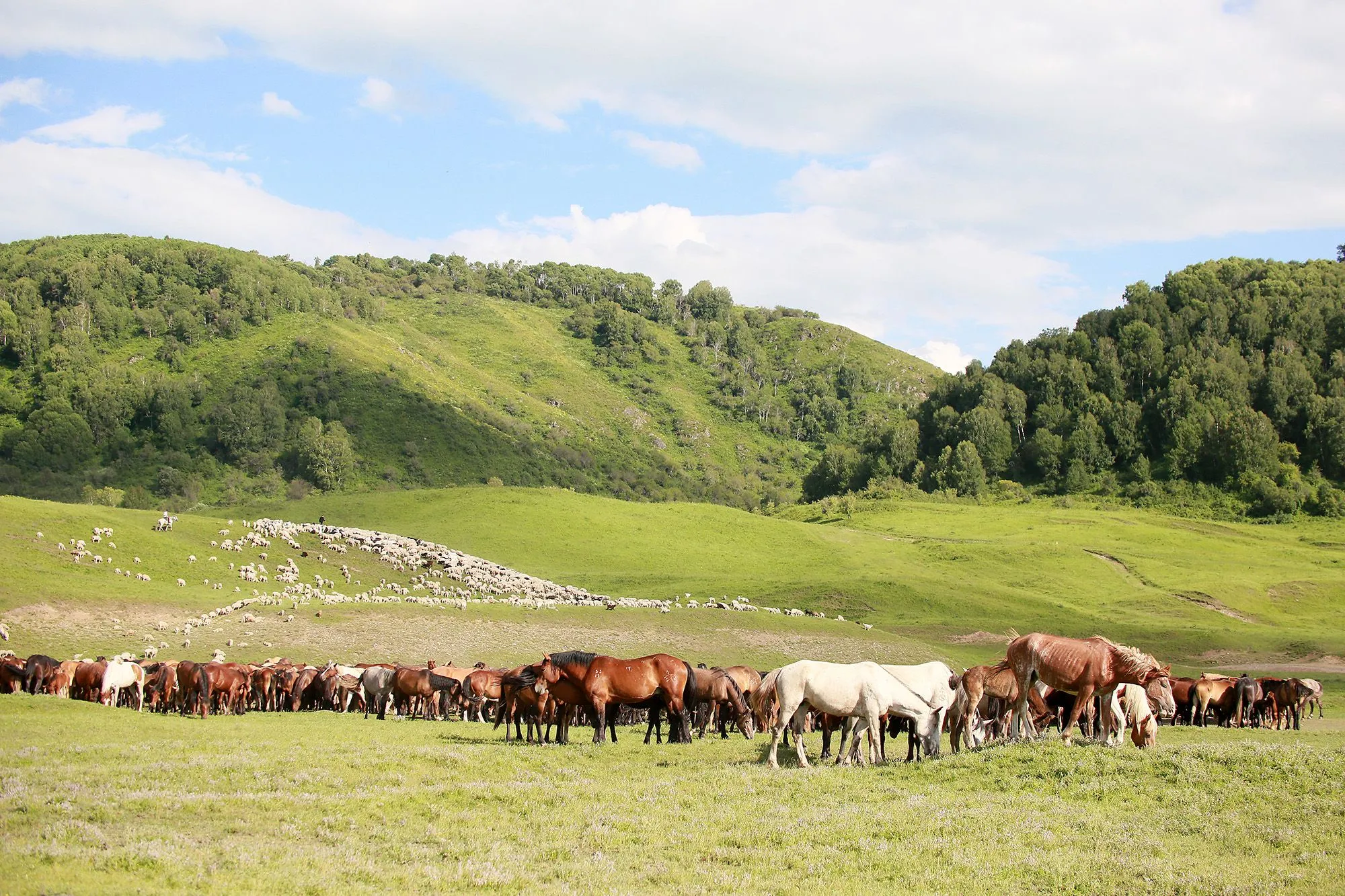 В Казахстане разработают единую цифровую карту земельных ресурсов