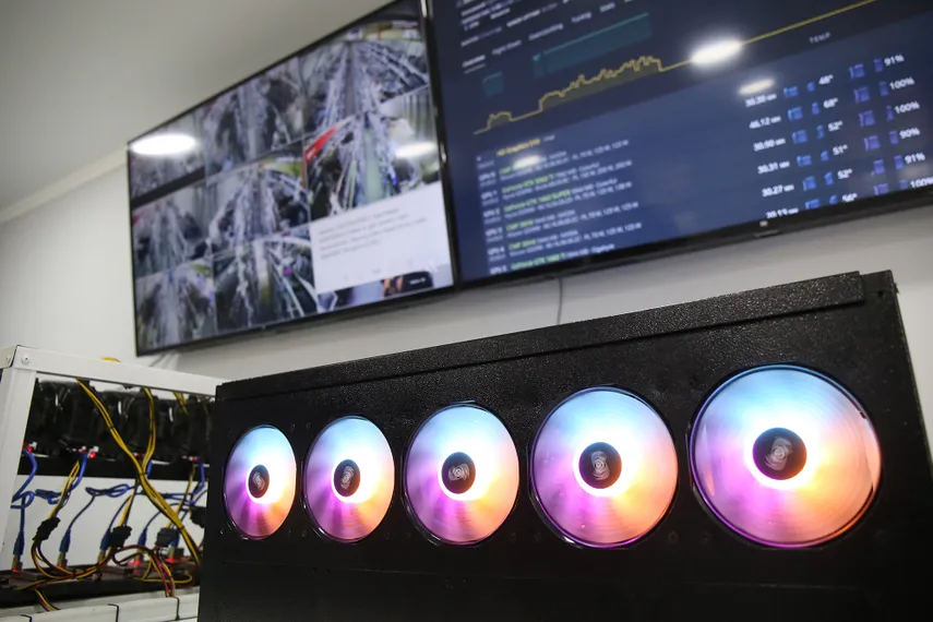 Фото: Руслан Пряников