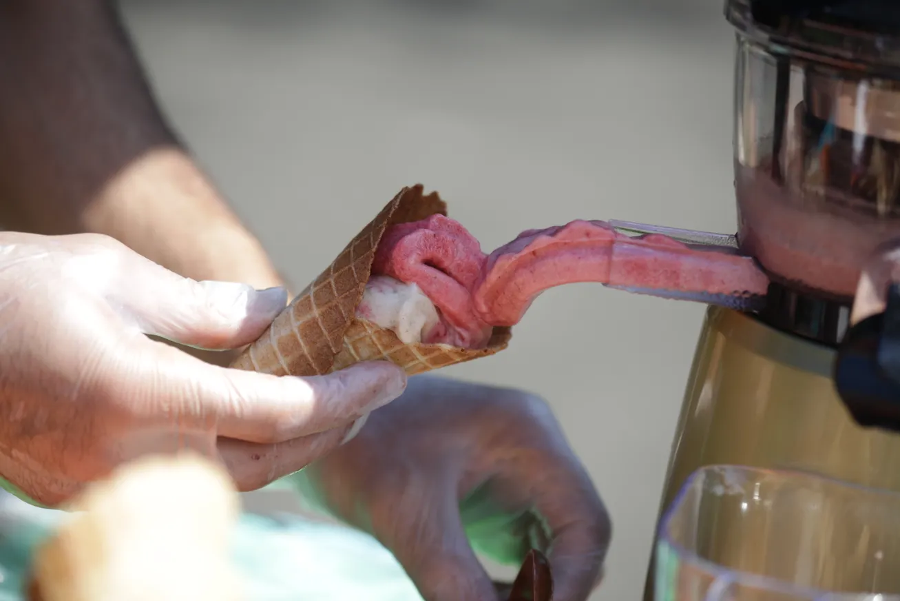 В Алматы состоялся фестиваль мороженого БалмұзDay - фото kapital.kz