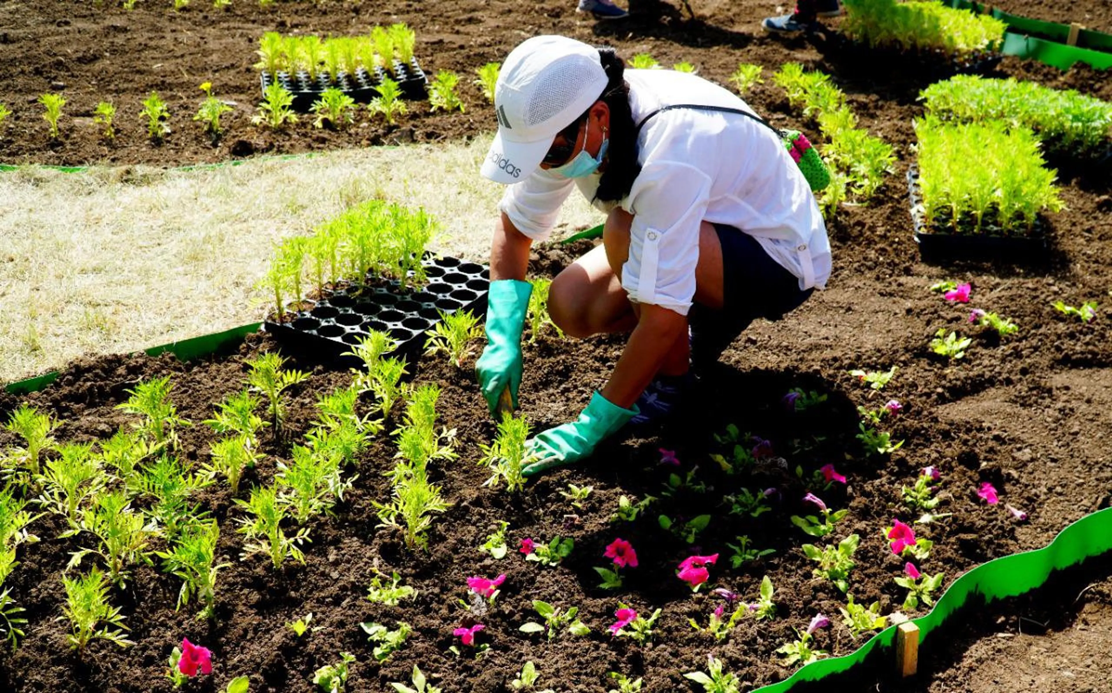 Капитал - В Нур-Султане продолжаются масштабные работы по озеленению