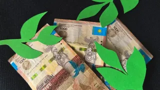 Капитал - Субсидирование пополнения оборотных средств субъектов АПК исключат 