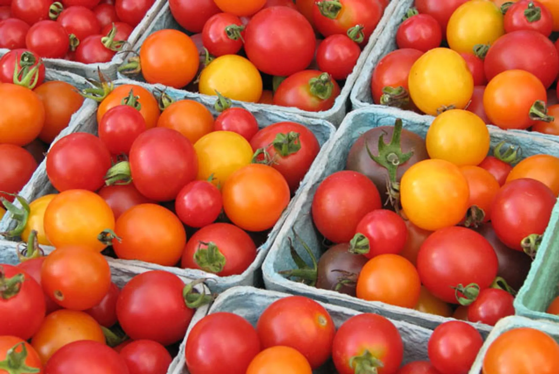 Капитал - Казахстан готов к замещению турецких товаров на рынке РФ