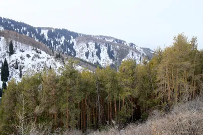 Фото: Руслан Пряников