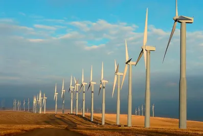 Китай выйдет в лидеры по зеленой энергетике