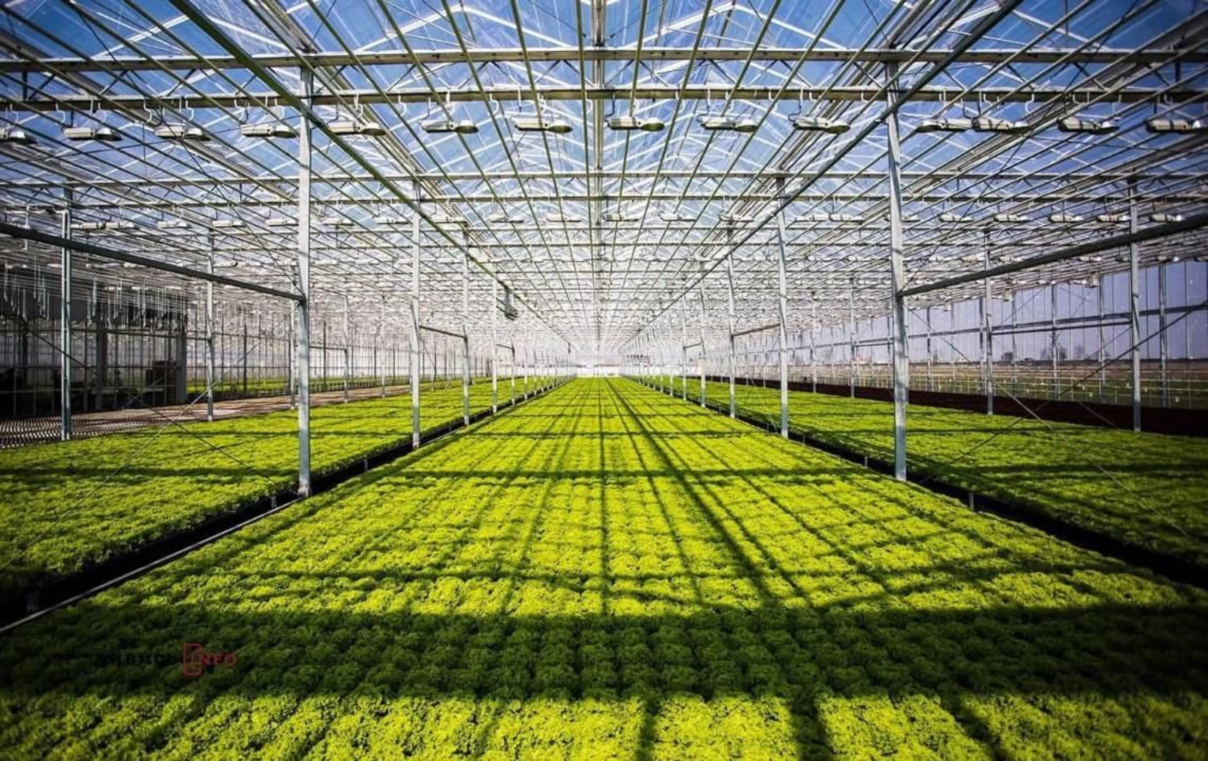 Фото: Министерство сельского хозяйства РК 