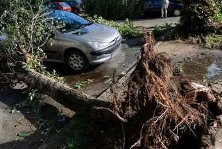 Капитал - Мощный ураган пронесся над Польшей