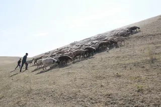 Фото: Руслан Пряников